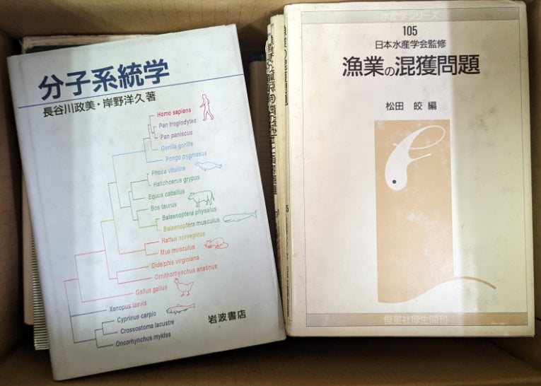 買い取らせていただいた数学、水産資源関連の書籍