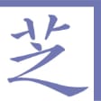カラーアトラス よくみる眼科疾患58【中古】 - カネシバ書店｜学術書