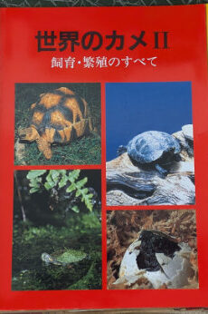世界のカメ 1〜3揃い【中古】